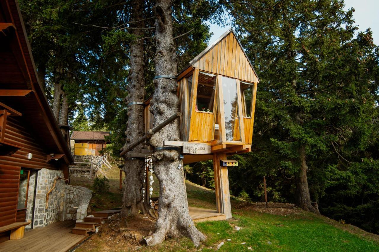 Villa Tree House Alpinka Krvavec Cerklje na Gorenjskem Exterior foto